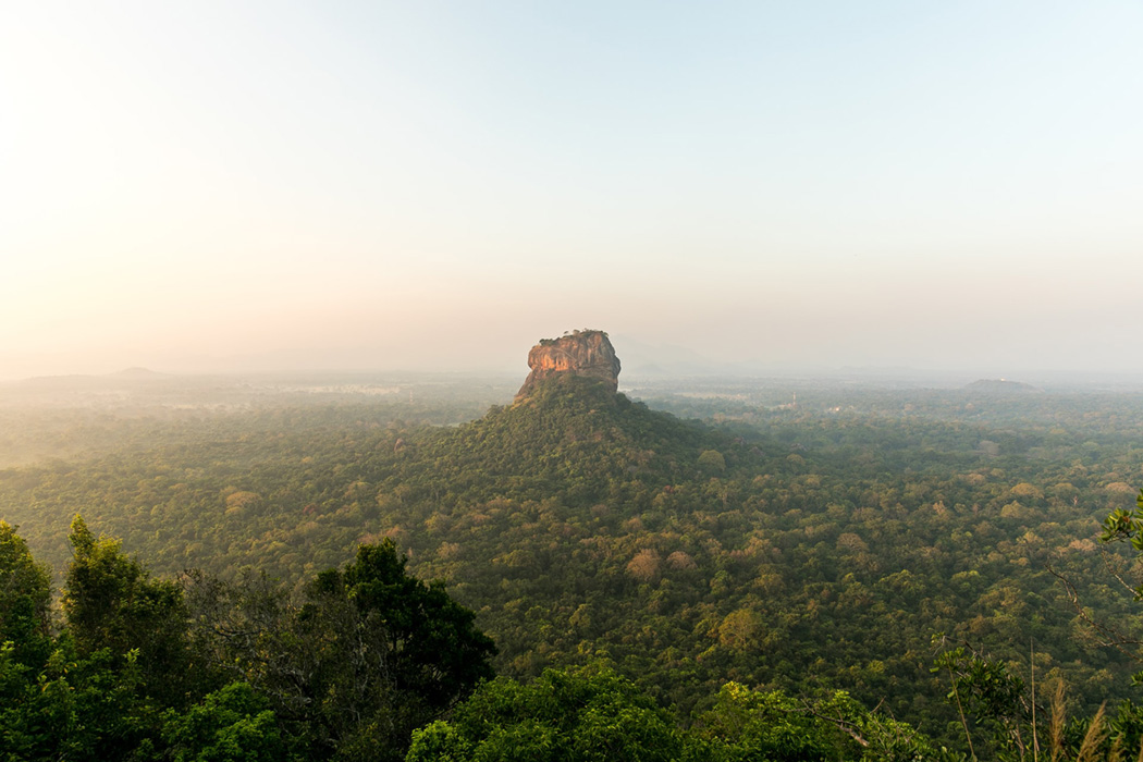 Sigiriya & Dambulla Day Tour - Sri Lanka Eco Tours