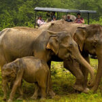 Udawalawe National Park - Sri Lanka Eco Tours