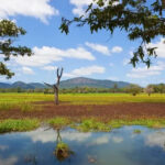 Wasgamuwa National Park - Sri Lanka Eco Tours