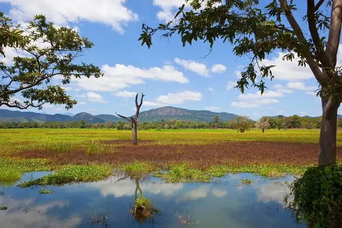 Wasgamuwa National Park - Sri Lanka Eco Tours