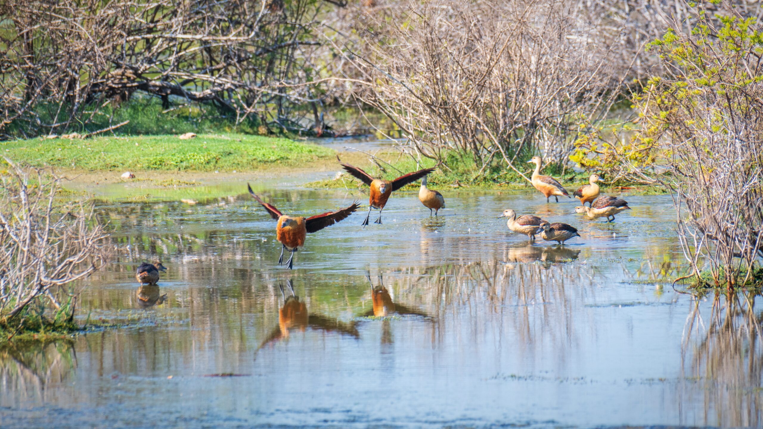 Bird watching in Sri Lanka - Sri Lanka Eco Tours